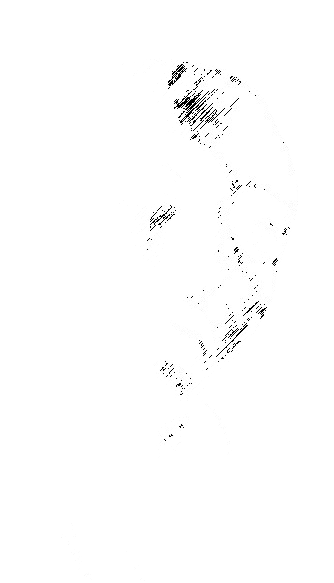 Sketch the vampire